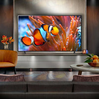 LG NanoCell 86NANO81T6A 86" - NanoCell UltraHD 4K Smart TV WebOS24 AI ThinQ