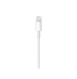 Apple Cable Lightning a USB-C 1m - MUQ93ZM/A