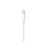 Apple Cable Lightning a USB-C 1m - MM0A3ZM/A