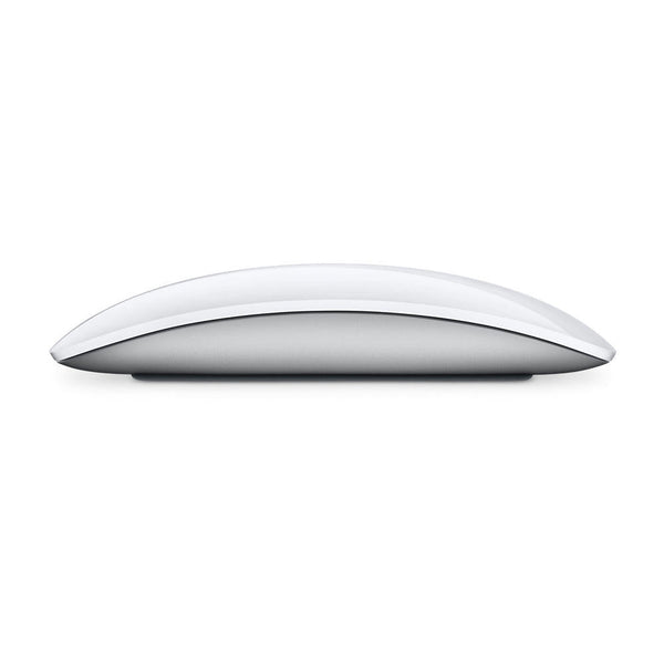 Apple Magic Mouse 2 Plata - CSYSTEM REINOSA